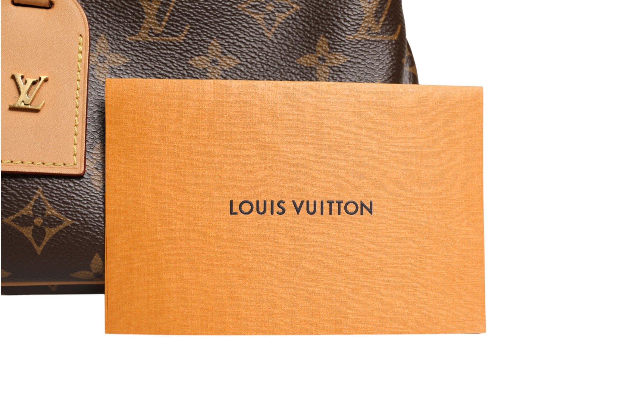 Louis Vuitton Monogram Canvas Odeon PM Crossbody Bag