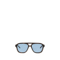 Balenciaga Brown Acetate Sunglasses