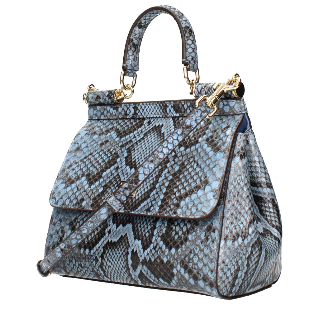 Dolce & Gabbana Light Blue Skin Handbag