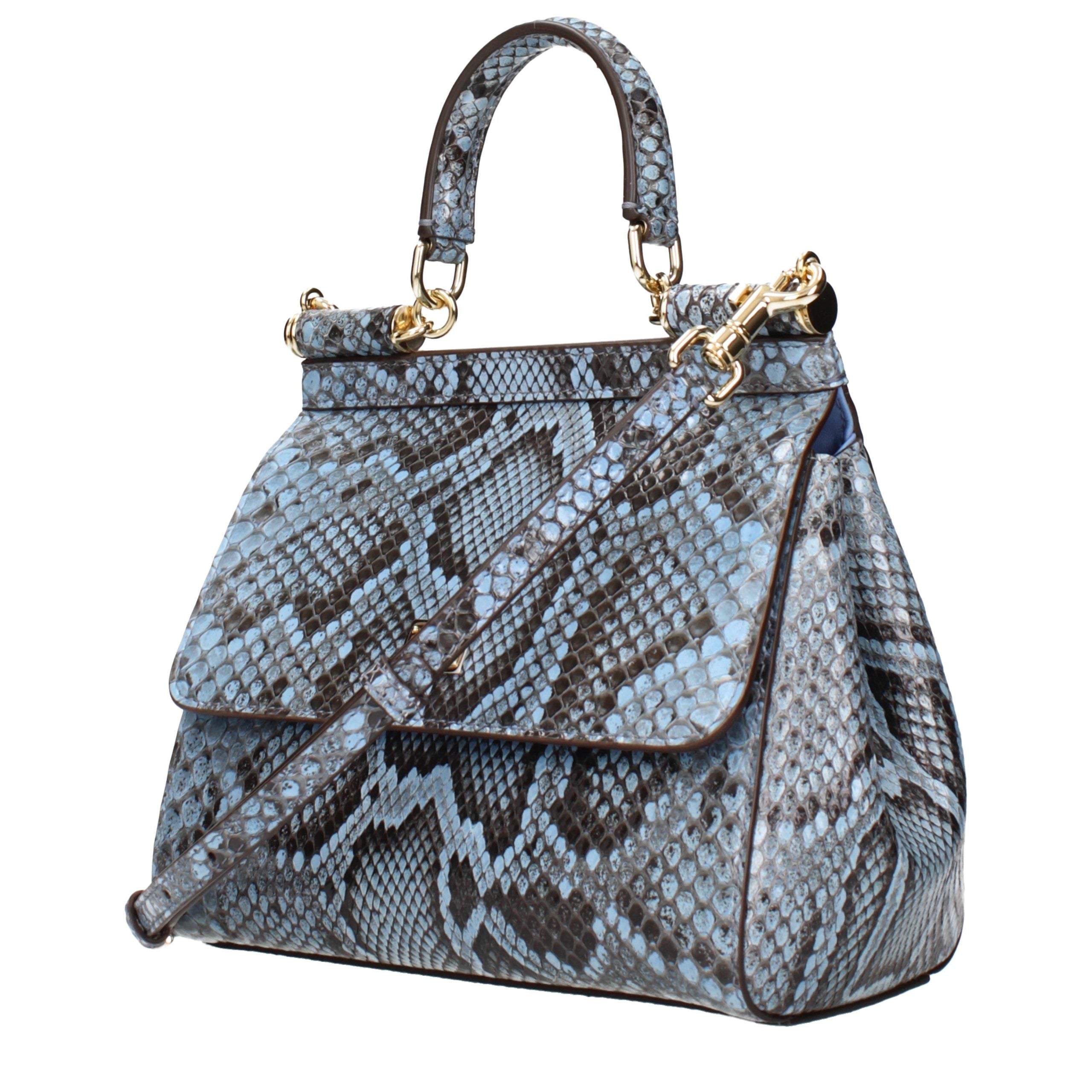 Dolce & Gabbana Light Blue Skin Handbag