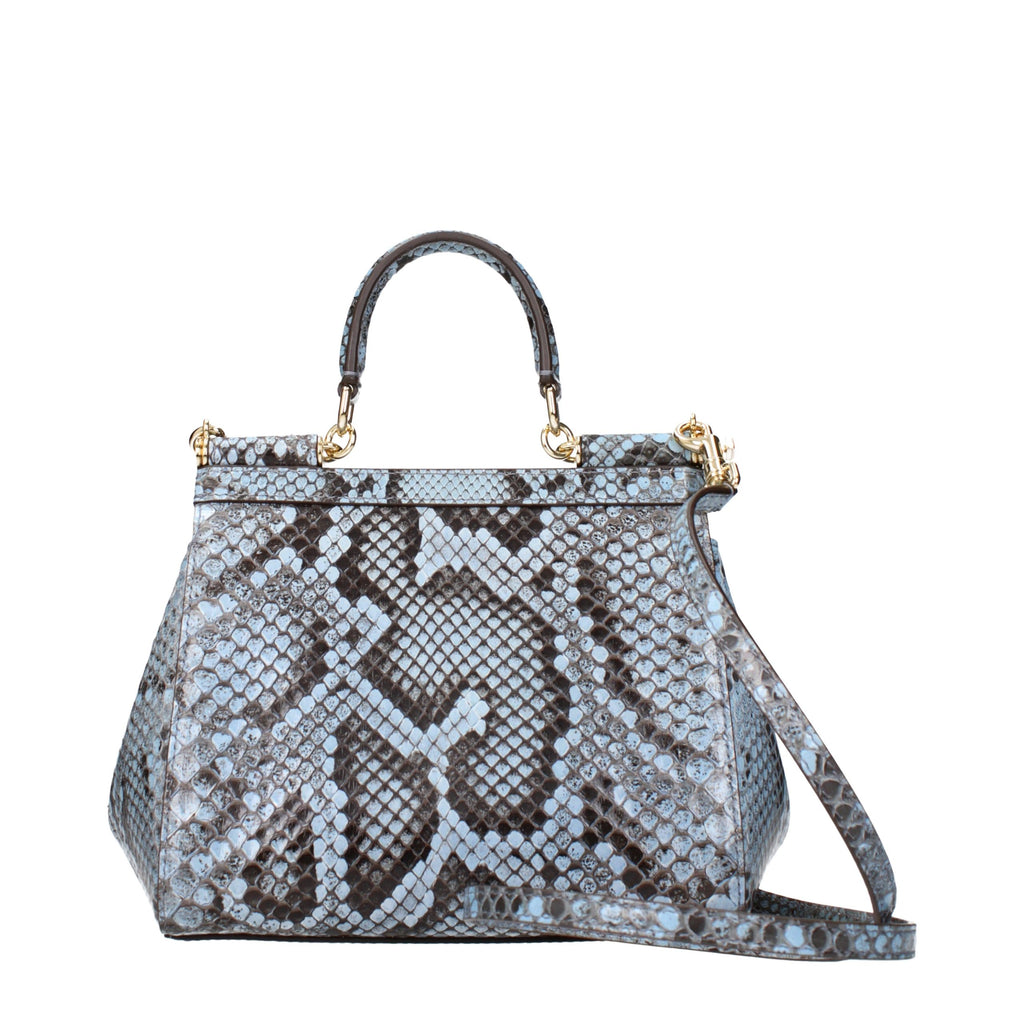 Dolce & Gabbana Light Blue Skin Handbag