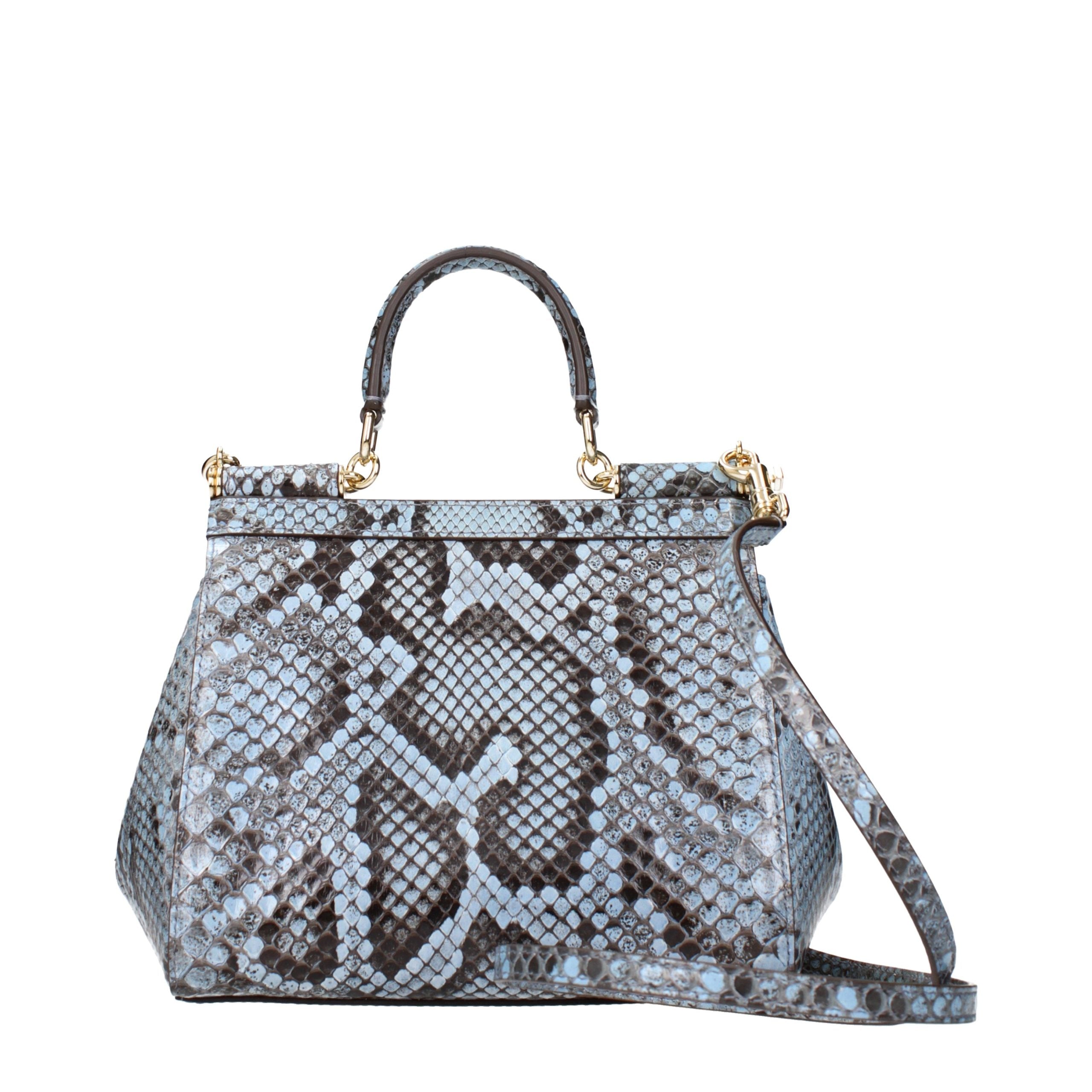 Dolce & Gabbana Light Blue Skin Handbag