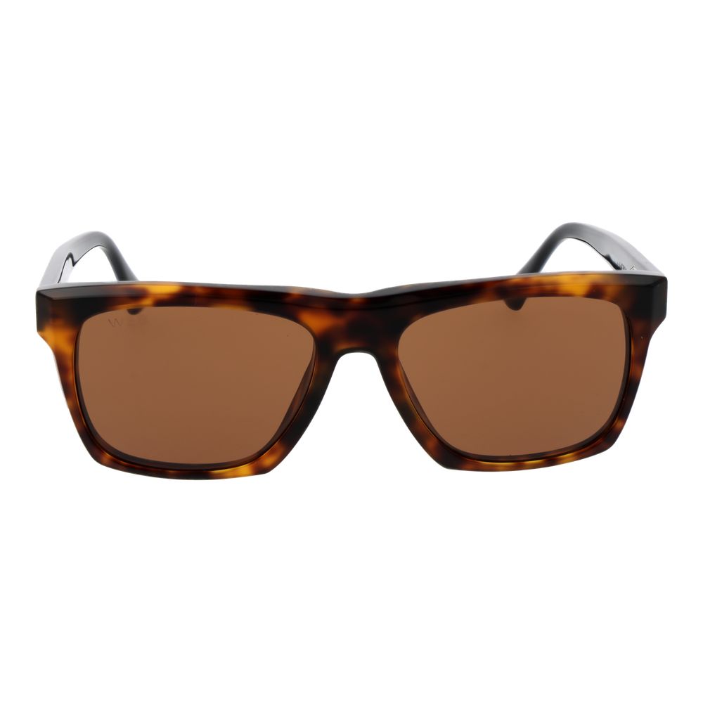 Web Brown Acetate Sunglasses