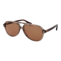 Web Brown Acetate Sunglasses