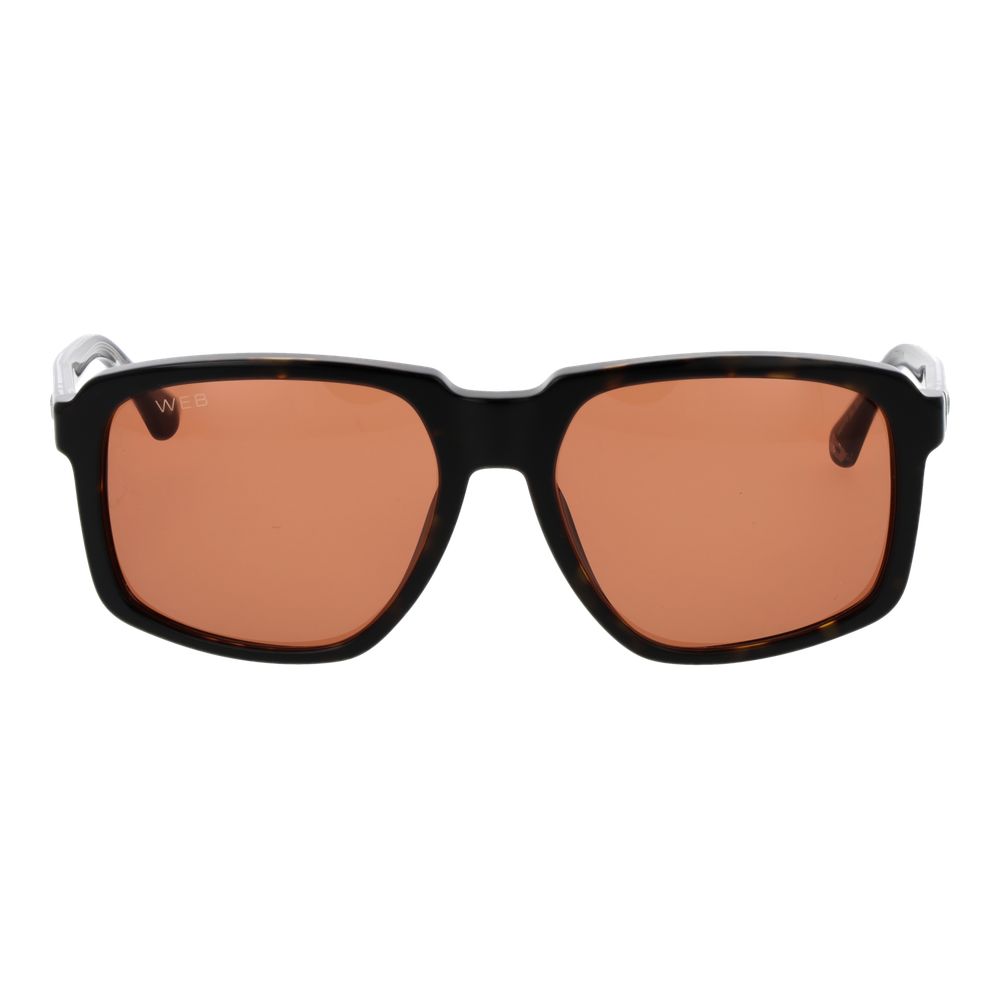 Web Brown Acetate Sunglasses
