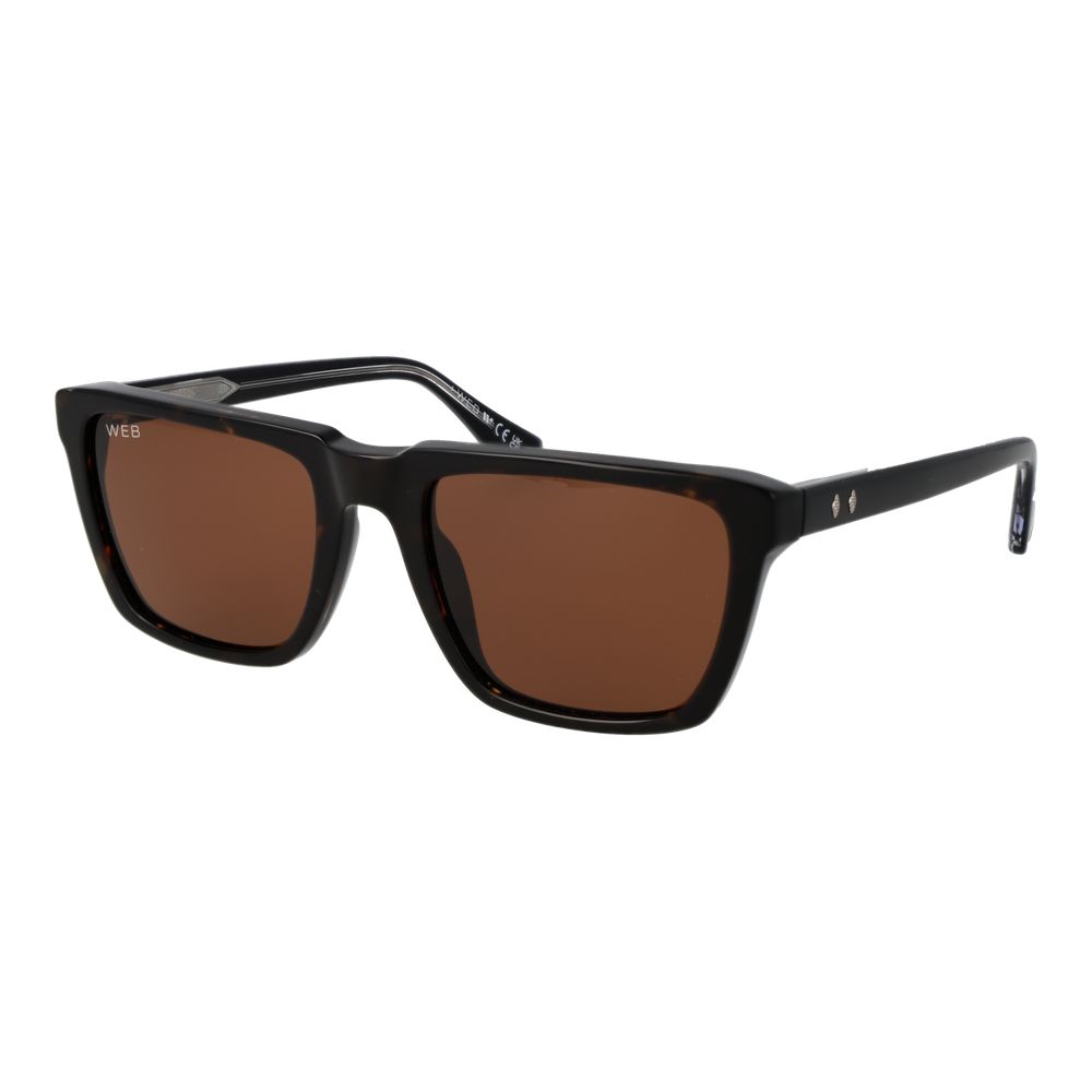 Web Black Acetate Sunglasses