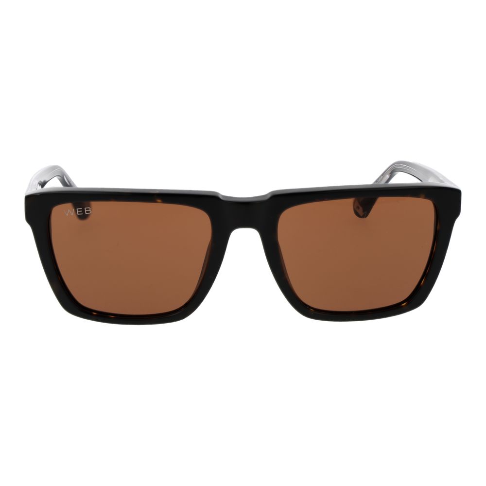 Web Black Acetate Sunglasses