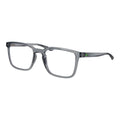 Nike Gray Plastic Glasses (Frames)