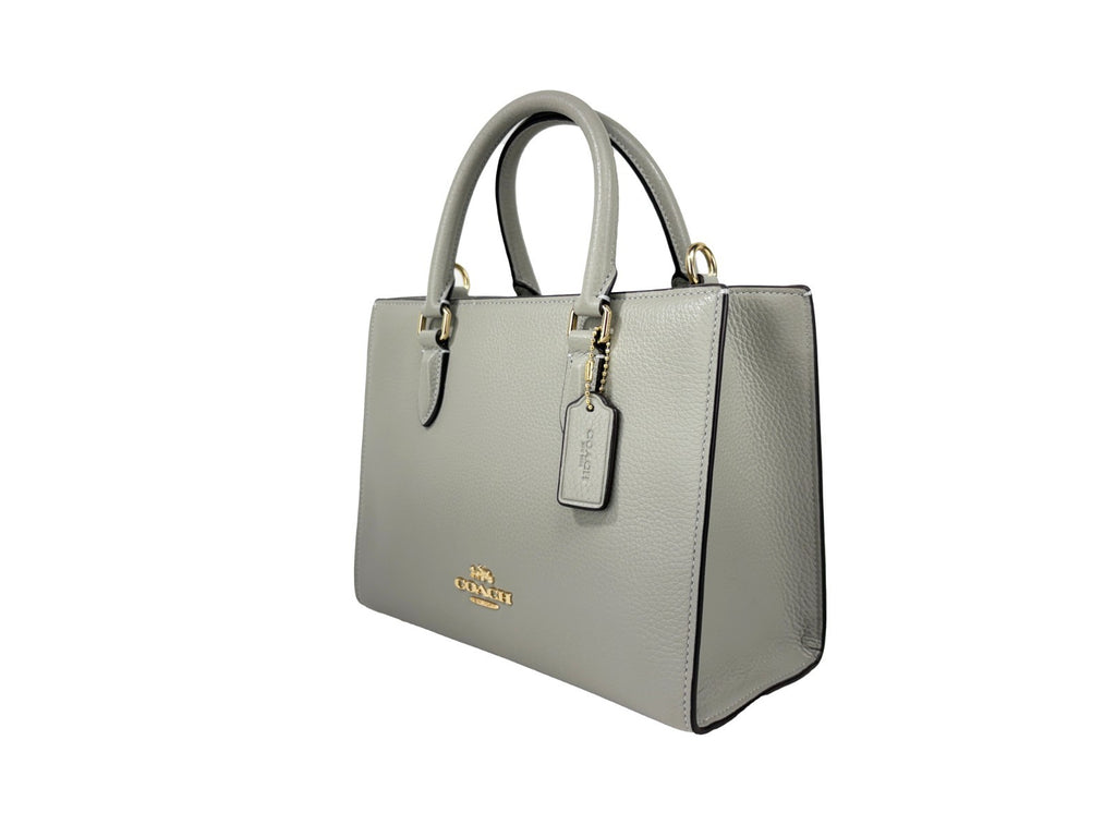 COACH Coach Maggie Small Leather Crossbody Tote Bag