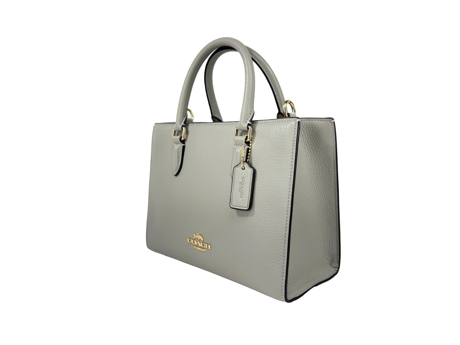 COACH Coach Maggie Small Leather Crossbody Tote Bag