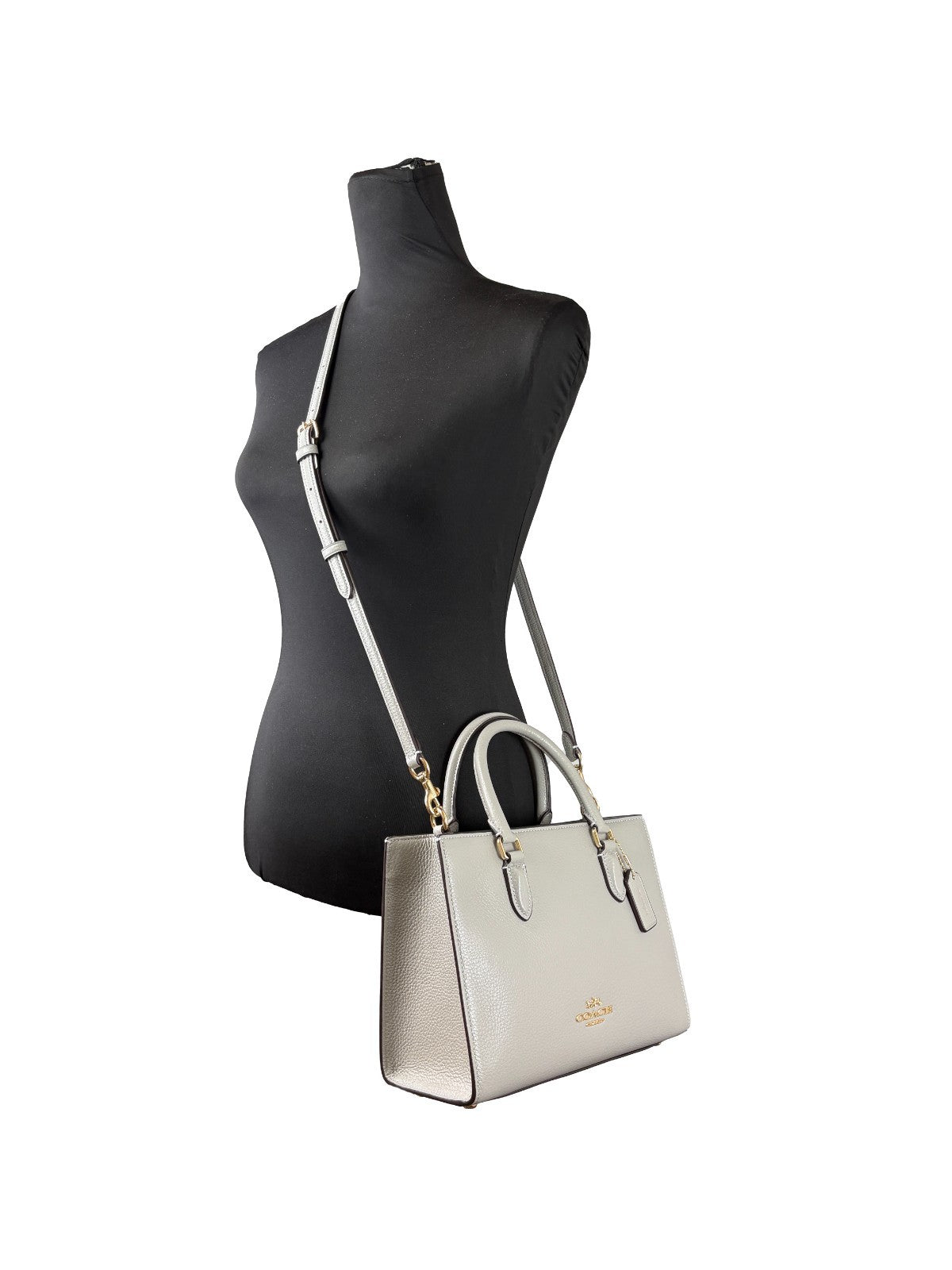 COACH Coach Maggie Small Leather Crossbody Tote Bag