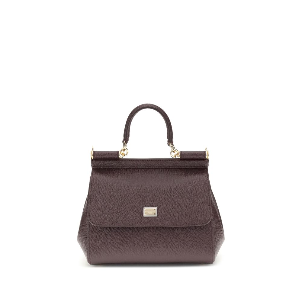 Dolce & Gabbana Brown Calf Leather Bos Taurus Handbag