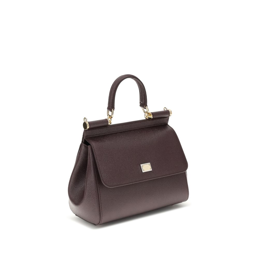 Dolce & Gabbana Brown Calf Leather Bos Taurus Handbag