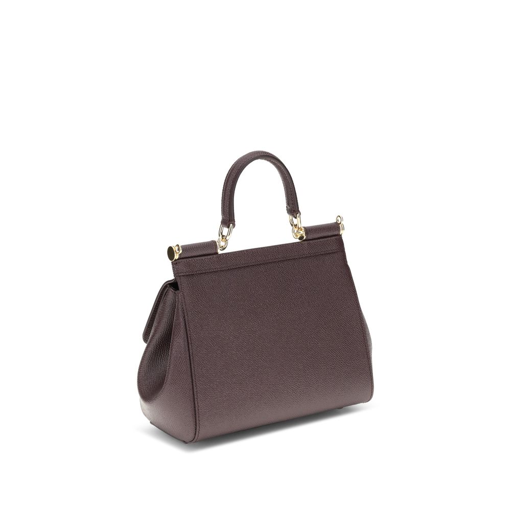 Dolce & Gabbana Brown Calf Leather Bos Taurus Handbag