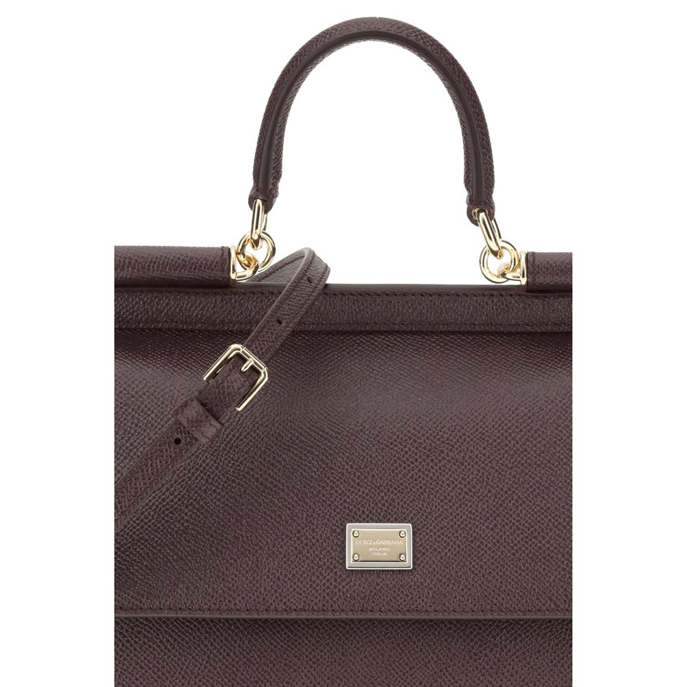 Dolce & Gabbana Brown Calf Leather Bos Taurus Handbag