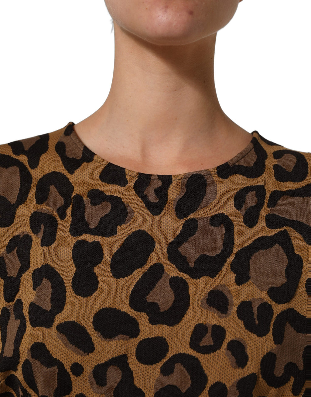 Dolce & Gabbana Brown LeopardPrint Flared A-line Mini Dress