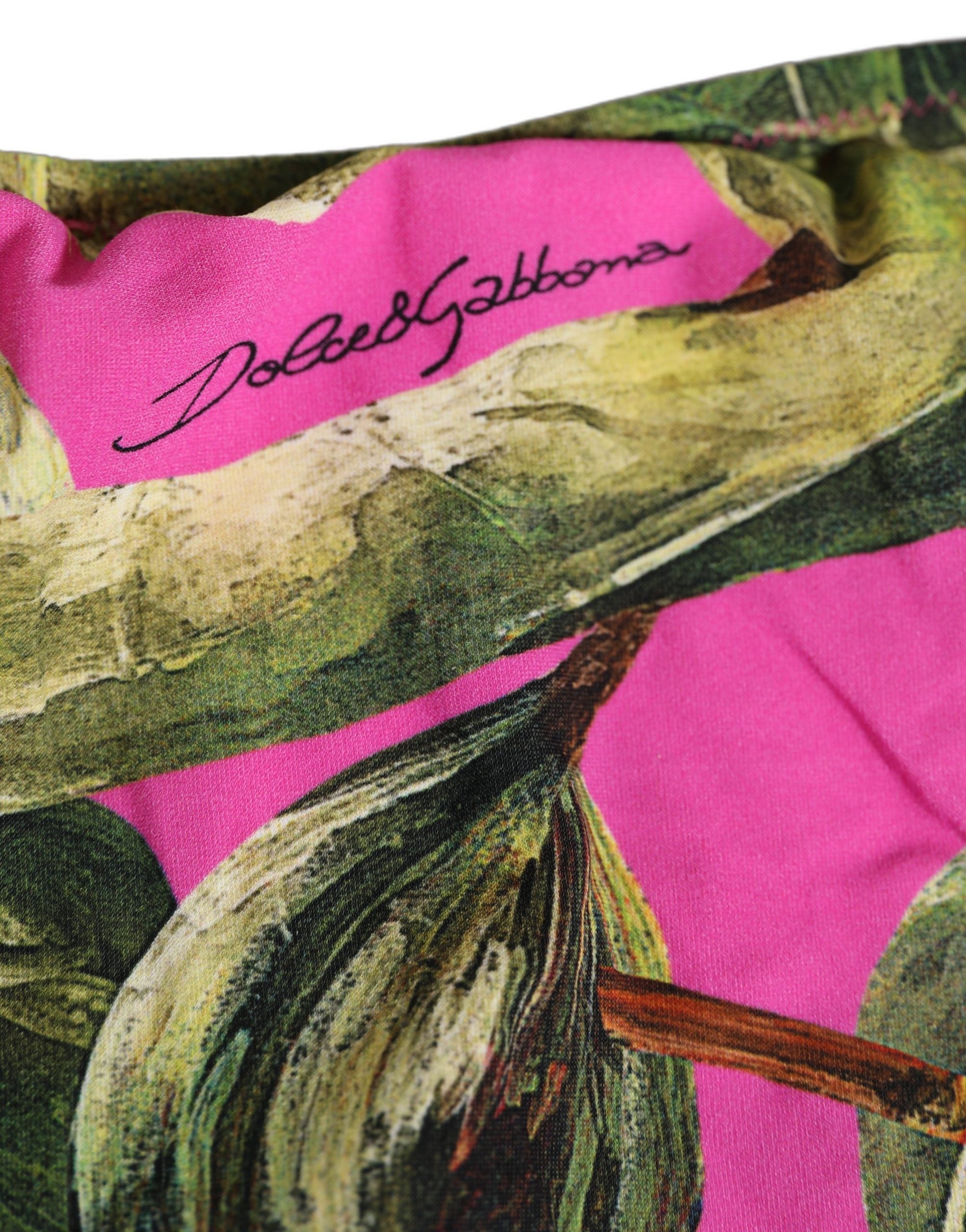 Dolce & Gabbana Fuchsia Pink Fig Print Beachwear Bikini Bottom