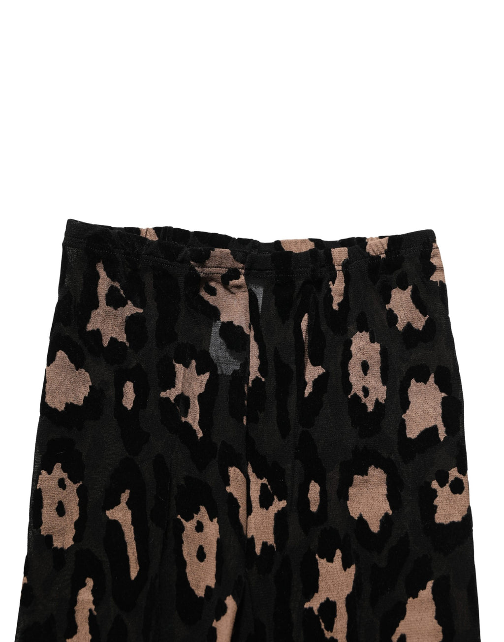 Dolce & Gabbana Black Leopard Nylon Tights Stocking Pantyhose Socks