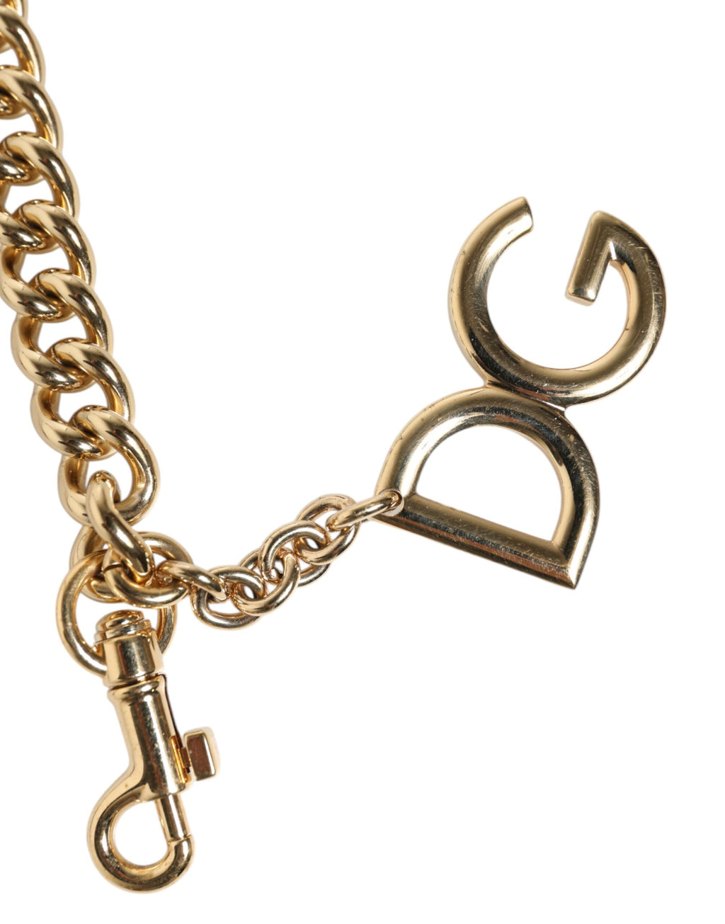 Dolce & Gabbana Brown Leopard Gold Brass Chain Accessory Shoulder Strap